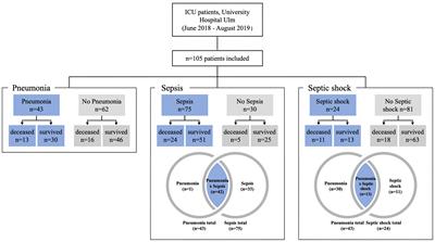 Loss-of-function/gain-of-function polymorphisms of the ATP sensitive P2X7R influence sepsis, septic shock, pneumonia, and survival outcomes